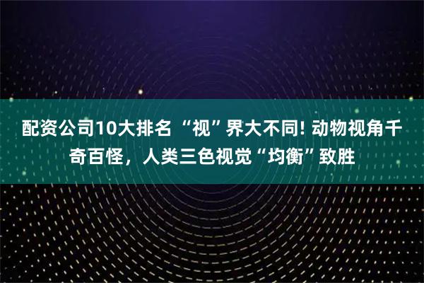 配资公司10大排名 “视”界大不同! 动物视角千奇百怪，人类三色视觉“均衡”致胜